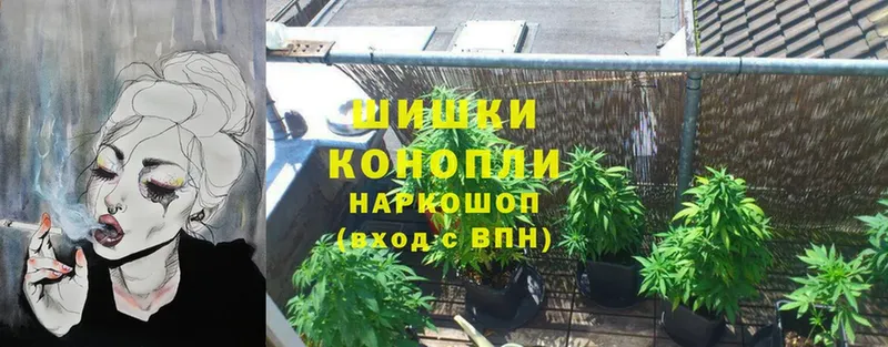 KRAKEN   Новоульяновск  Шишки марихуана OG Kush 